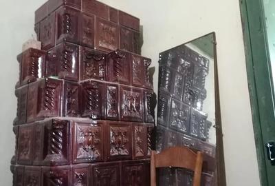 Casă cu 4 camere cu Teren 1450 Mp în Râmnicelu