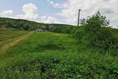 Teren de 3008 mp, în Pădurenii - 1