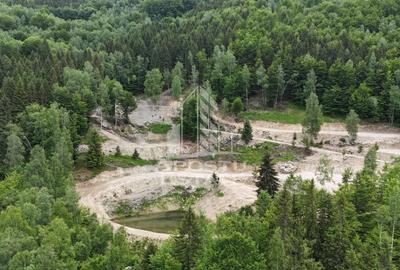 Teren Construcții extravilan de 18000 mp, în Exterior Sud - 48