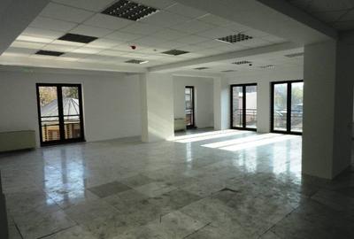 Birou, de 438 mp, în Dacia - 11