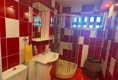 Apartament cu 2 camere semidecomandat în Brazda lui Novac