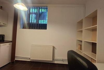 Apartament cu 2 camere decomandat, mobilat în Ultracentral - 4
