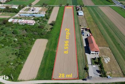 Teren de 8596 mp, în Gavojdia - 2