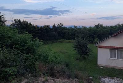 Casă cu Teren 2900 Mp în Ardusat - 4