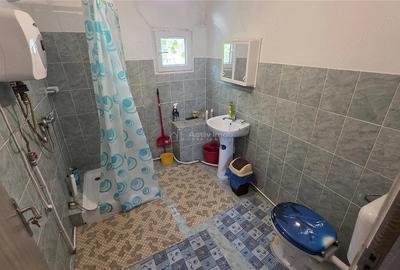 Casă cu Teren 4400 Mp în Petrilova