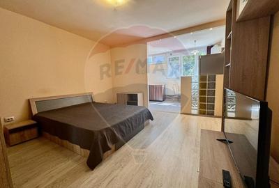 Apartament cu 1 camere, mobilat în Grigorescu
