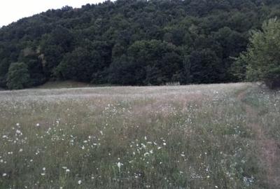 Teren intravilan de 9500 mp, în Bughea de Jos