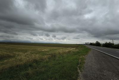 Teren agricol extravilan de 8900 mp, în Prejmer - 5