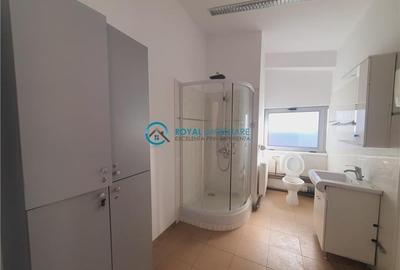 Spațiu industrial, de 260 mp, în Vest - 14