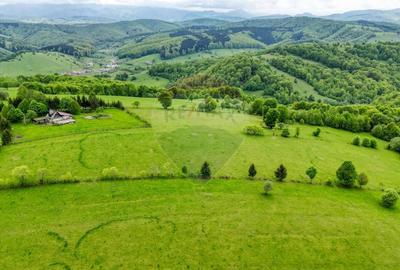 Teren extravilan de 5755 mp, în Sita Buzăului - 5