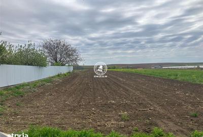 Teren de 5000 mp, în Dumești - 2