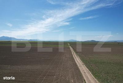 Spațiu comercial, în Prejmer - 11