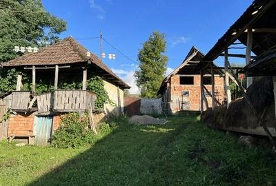 Casă cu Teren 5000 Mp în Mineu