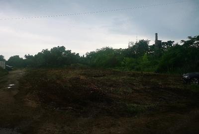Teren de 1000 mp, în Jilava - 2