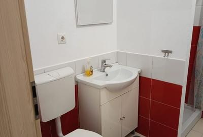 Garsonieră decomandată în Turnișor