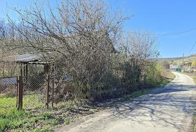 Teren de 2600 mp, în Dobrușa