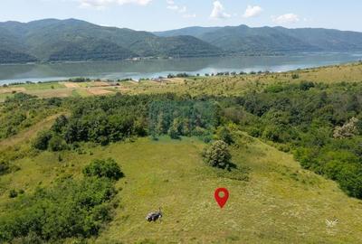 Teren extravilan de 47000 mp, în Sichevița - 6