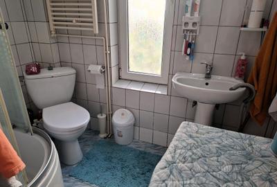 Casă individuală cu 10 camere cu Canalizare în Doamna Ghica - 37