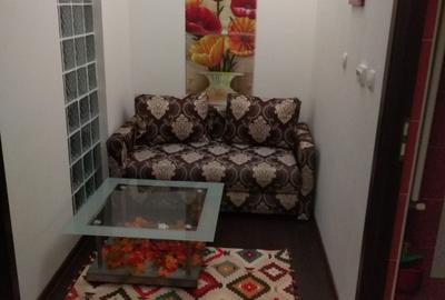 Garsonieră decomandată în Beba Veche - 1
