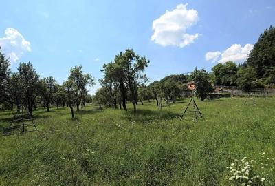 Teren de 8000 mp, în Căpățânenii Pământeni