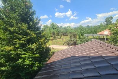 Duplex cu 4 camere cu Canalizare în Brebu - 36