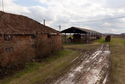 Spațiu comercial, de 3,000 mp, în Mișca - 7