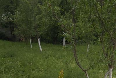 Teren de 1359 mp, în Nistorești - 6