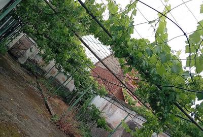 Casă cu Teren 350 Mp în Socol - 4