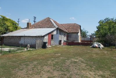 Casă individuală cu 3 camere cu Teren 1906 Mp în Gelu - 6