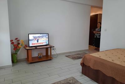 Garsonieră decomandată în Dudești - 3