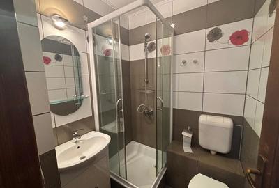 Apartament cu 3 camere decomandat în Aradului - 7