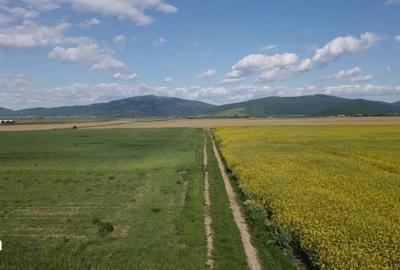 Teren de 395 mp, în Prejmer - 3