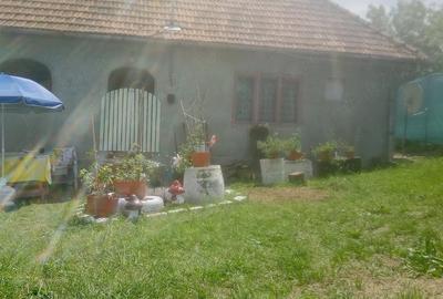 Casă cu Teren 1450 Mp în Căraci