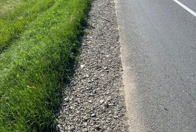 Teren de 29300 mp, în Lețcani - 2
