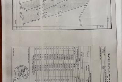 Teren agricol extravilan de 43000 mp, în Feldioara - 3