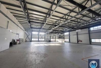 Spațiu industrial, de 1,185 mp, în Exterior Vest - 3