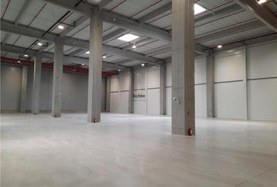 Spațiu industrial, de 5,000 mp, în Cristești - 5
