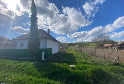 Casă individuală cu 3 camere cu Teren 3800 Mp în Glodeni - 3