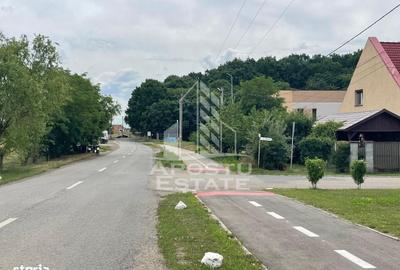 Spațiu comercial, în Dumbrăvița