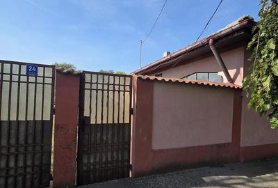 Casă cu Teren 1600 Mp în Viișoara