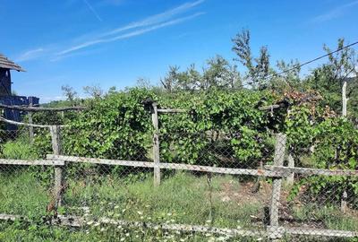 Casă cu 2 camere cu Teren 30 Mp în Târgu Logrești - 7