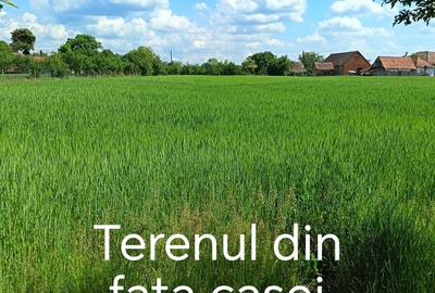 Casă cu 4 camere în Susag - 1
