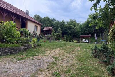 Casă cu 2 camere în Fotoș - 1