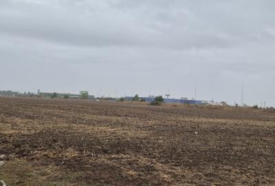 Teren agricol extravilan de 39144 mp, în Păulești - 11