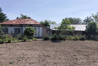 Casă cu Teren 1600 Mp în Heliade Rădulescu - 2