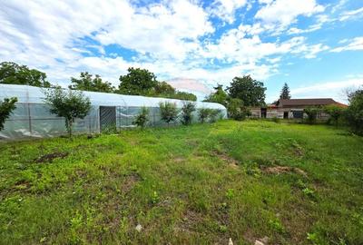 Casă individuală cu 7 camere cu Teren 3200 Mp în Lipia - 5