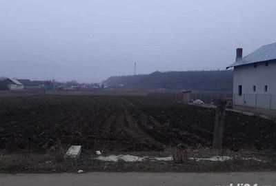 Teren de 2000 mp, în Bora - 2