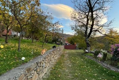 Casă cu Teren 2600 Mp în Central - 4