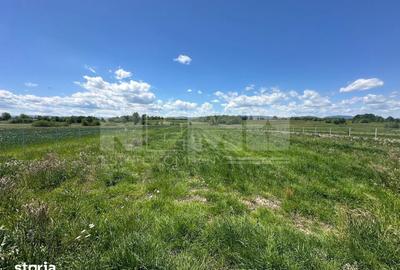 Teren de 2600 mp, în Horodnic - 5