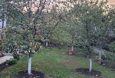 Casă cu 4 camere în Corbșori - 1